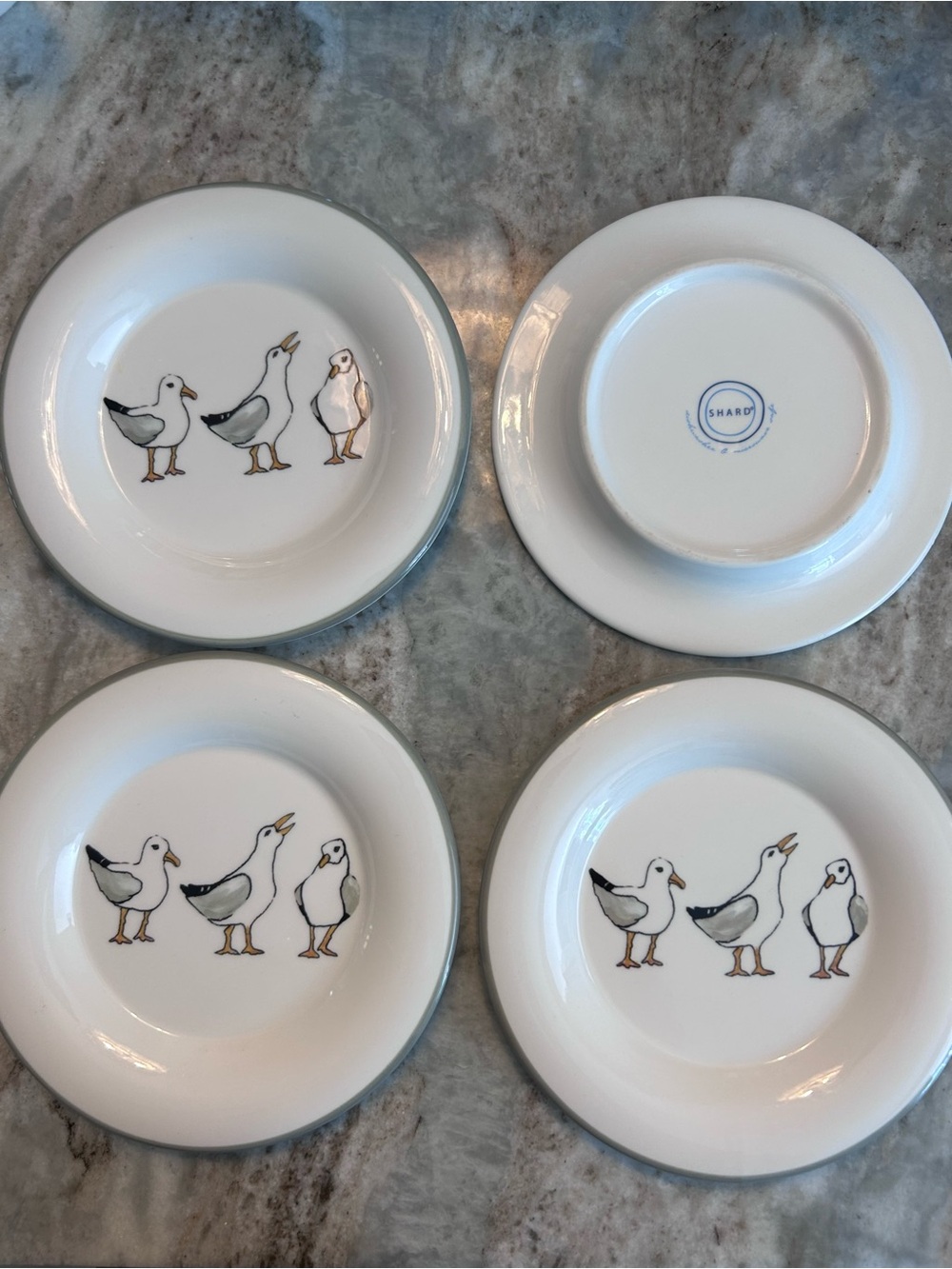 Shard White Ceramic Salad Plates with Soft Gray Rim Seagull s - Set of 4